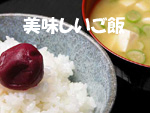 美味しいお米