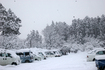 雪