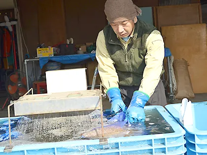 写真：種子予措（よそ）・浸種は大事