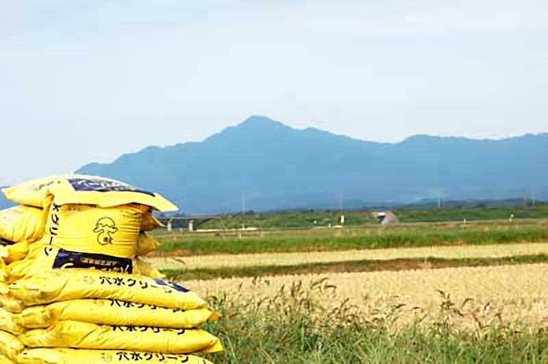 写真：米作りのためには水田の土壌分析をし、その改善を図ることが重要です。