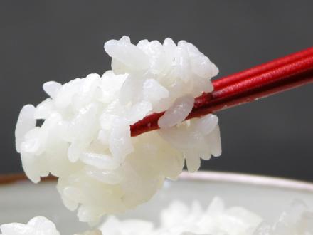 特別栽培米コシヒカリ(白米) 5kg 新潟県令和4年度産