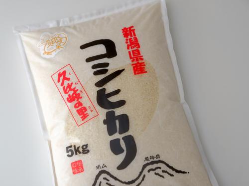 準備中【令和7年新潟県産】まさ爺のくびき米白米5kg