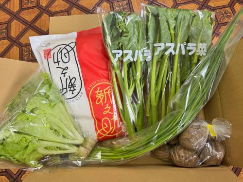新潟季節野菜宅配便 お手軽な野菜1月コース